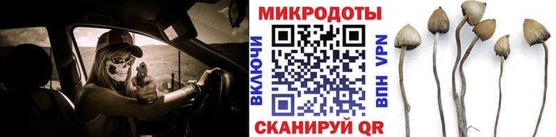 Галлюциногенные грибы прущие грибы  Купить  Среднеуральск 